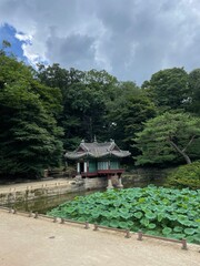 조선 창덕궁 Changdeokgung Palace