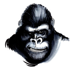 Ink and watercolor drawing of a mad looking gorilla face © berdsigns