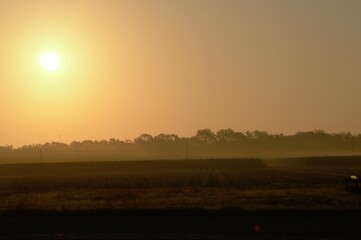 Morning fog sunrise over sugar cane field