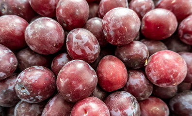 photo of a lot of plums on the counter of the store