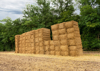 Square bale of hay in a field during the autumn harvest. Agricultural industry and rural countryside. - obrazy, fototapety, plakaty
