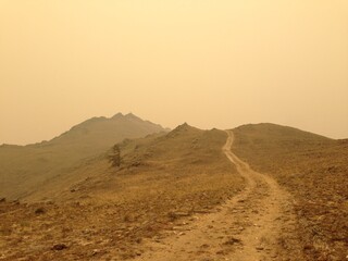 Fototapeta premium road in desert