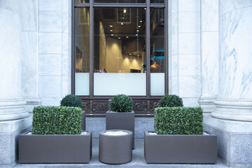Big gray, metal planters with foliage plants and terrace design - obrazy, fototapety, plakaty