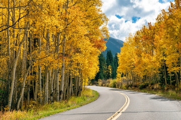 Autumn leaf color in Colorado
