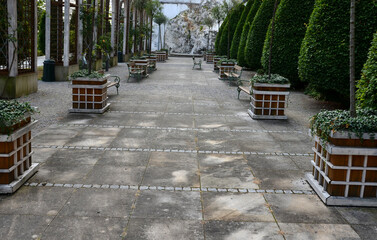 old castle orangery with wooden flowerpots in the shape of a block. they have a square pattern and stand in rows in a regular grid of squares - the courtyard. cut hornbeams near the wall, cone shape.