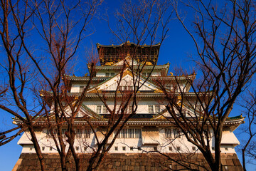 Majestic view of Osaka Castle