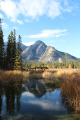 Fototapeta na wymiar Mountain Meets Wetlands, Banff National Park, Alberta