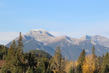 Mountains Above The Trees, Banff National Park, Alberta