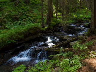 Obraz premium Small river flowing rapidly and vividly through its wild stony valley. Wild hardwood forest accompanies the river along its path. Little stream among the woods. Carpathians, Ukraine