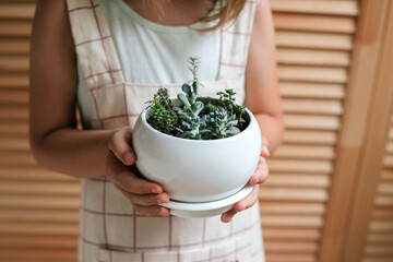 Close-up girl's hands holding a pot with with home plants.