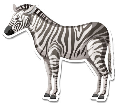 A sticker template of zebra cartoon character