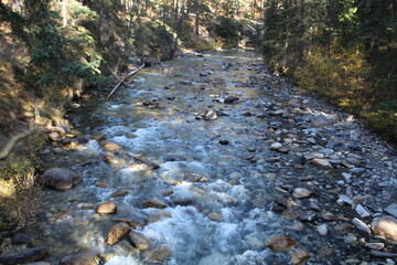 Johnston Creek, Banff National Park, Alberta