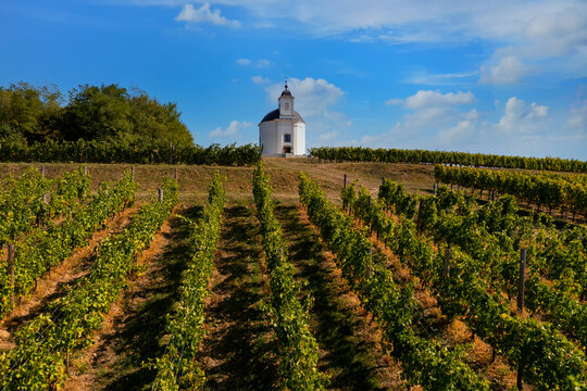 Terez chapel in Tokaj region Hungary