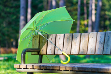 Autumn season, autumnal weather. Green umbrella, park wooden bench. yellow leaves blur sunlight background.