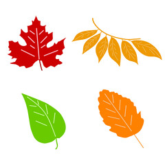 vector autumn leaves in flat graphics and cartoon style and on a white background. bright leaves botanical illustration leaves