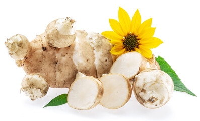 Jerusalem artichoke roots with leaves and flower of Jerusalem artichoke isolated on white background.