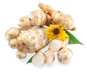 Jerusalem artichoke roots with leaves and flower of Jerusalem artichoke isolated on white background.