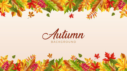 Illustration Of Background With Realistic Autumn Leaves Drawing