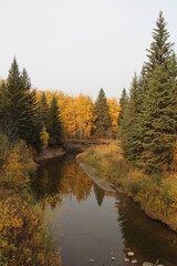 Autumn Down Whitemud Creek, Whitemud Park, Edmonton, Alberta
