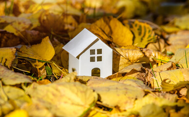 The symbol of the house stands among the fallen autumn leaves
