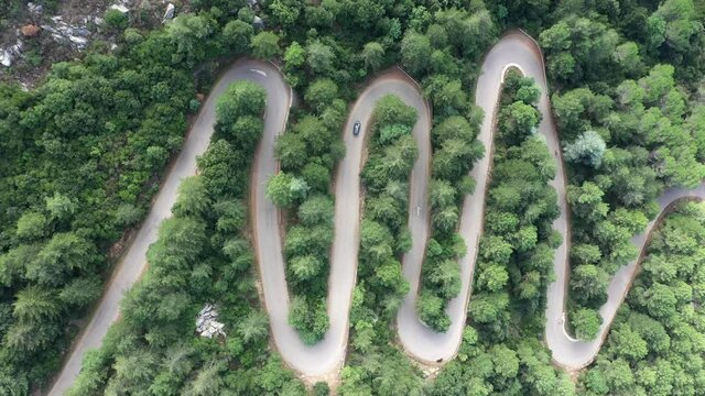 View from above, stunning aerial view of a car running along a serpentine road surrounded by green pine trees. Mount Limbara (Monte Limbara) Sardinia, Italy	