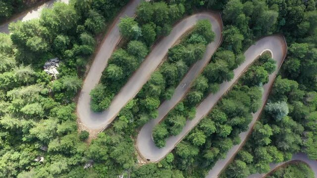 View from above, stunning aerial view of a car running along a serpentine road surrounded by green pine trees. Mount Limbara (Monte Limbara) Sardinia, Italy	