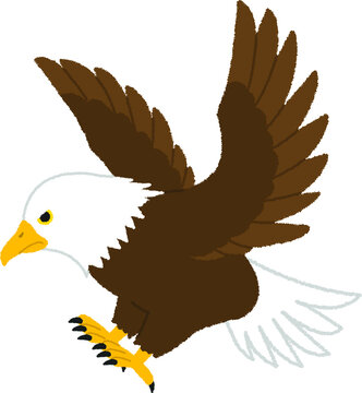 白頭鷲 Images Browse 97 Stock Photos Vectors And Video Adobe Stock 白頭鷲 Images Browse 97 Stock Photos Vectors And Video Adobe Stock