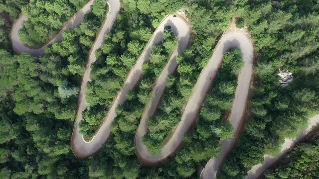 View from above, stunning aerial view of a car running along a serpentine road surrounded by green pine trees. Mount Limbara (Monte Limbara) Sardinia, Italy	