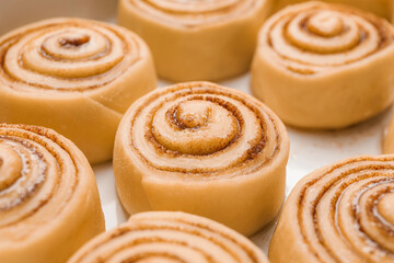 Baking dish with uncooked cinnamon rolls, closeup