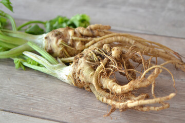 Bulb of celery with fresh leaves, close up image