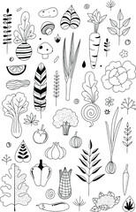 Black and white vegetables garden