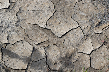 Dry mud background and texture