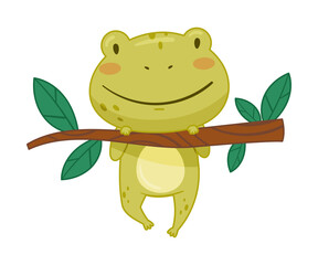 Cute frog hanging on tree branch. Green funny amphibian toad character cartoon vector illustration