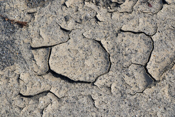 Dry mud background and texture