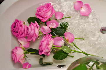 Glass of wine and bouquet of pink roses in sink