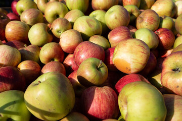 《青森県》加工用りんご