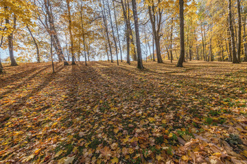 View of the city park at autumn morning.
