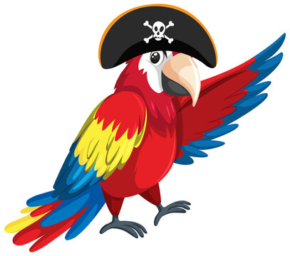 Pirate concept with a parrot wearing tricorne hat  isolated on white background
