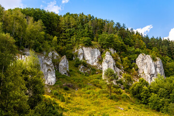 Turnia Marcinkiewicza, Garaz, Mala Plyta and other limestone rocks in Kobylanska Valley within Jura...