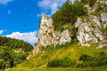 Grupa Zabiego Konia limestone rock massif with Zabi Kon rock in Kobylanska Valley within Jura Krakowsko-Czestochowska upland near Cracow in Lesser Poland