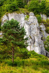 Mala Plyta limestone rock in Kobylanska Valley within Jura Krakowsko-Czestochowska upland near...
