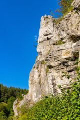 Grupa Zabiego Konia limestone rock massif with Zabi Kon rock in Kobylanska Valley within Jura...