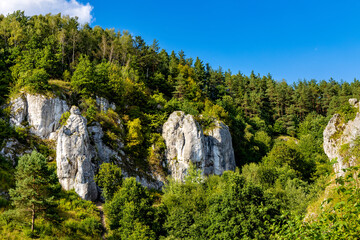 Turnia Marcinkiewicza, Garaz, Mala Plyta and other limestone rocks in Kobylanska Valley within Jura Krakowsko-Czestochowska upland near Cracow in Lesser Poland