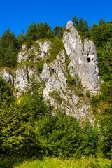 Monk limestone rock massif known as Mnich in Kobylanska Valley within Jura Krakowsko-Czestochowska...