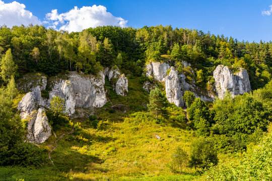 Turnia Marcinkiewicza, Garaz, Mala Plyta and other limestone rocks in Kobylanska Valley within Jura Krakowsko-Czestochowska upland near Cracow in Lesser Poland