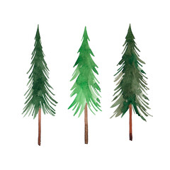 Watercolor pine set. Christmas trees clipart. Spruce. Coniferous forest. Isolated on a white background.