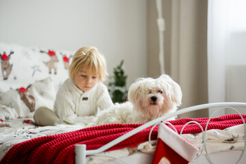 Beautiful toddler child, reading book in bed on Christmas