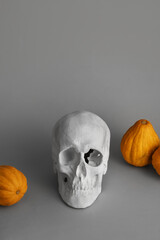 Skull with pumpkins on grey background