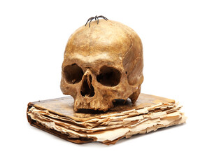 Human skull with old book on white background