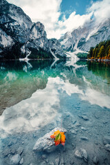 Blatt im See im Herbst